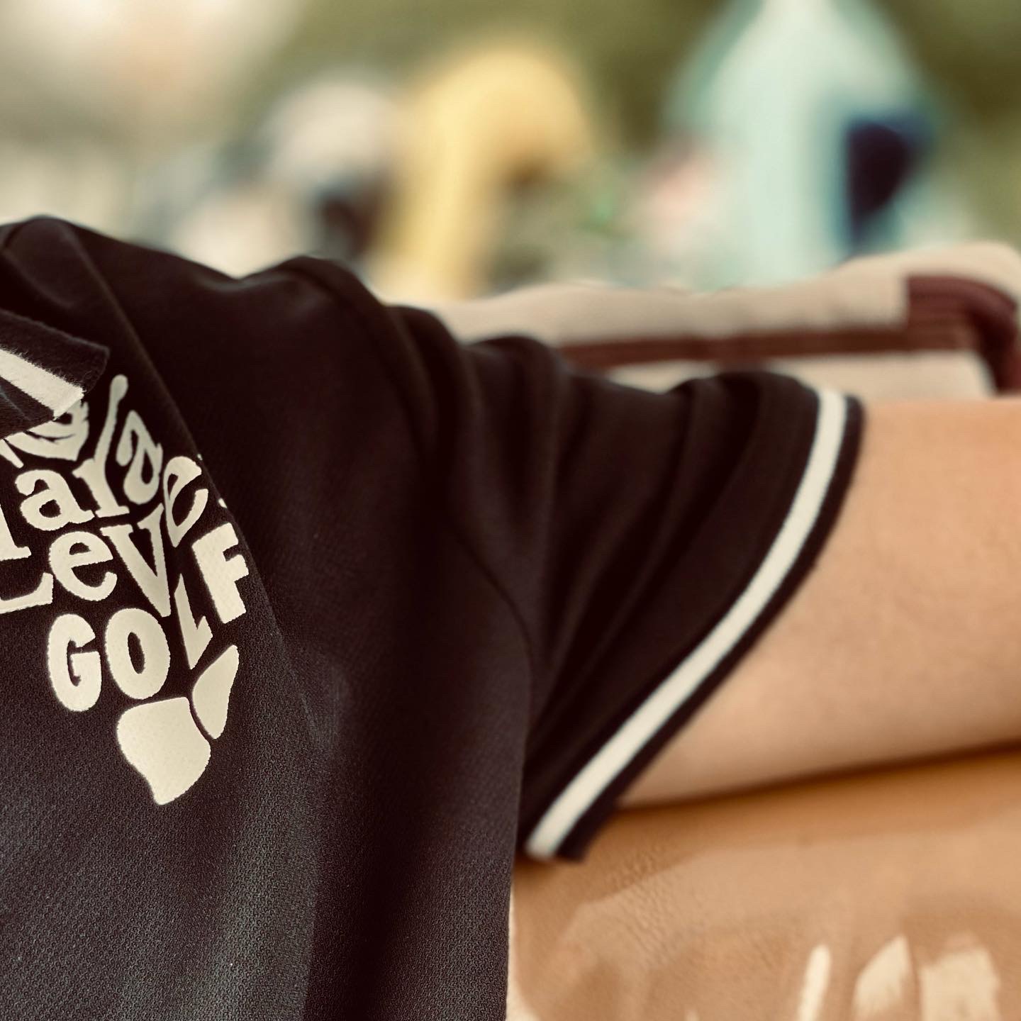 新登場　POLO