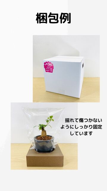 よくあるご質問（FAQ）
