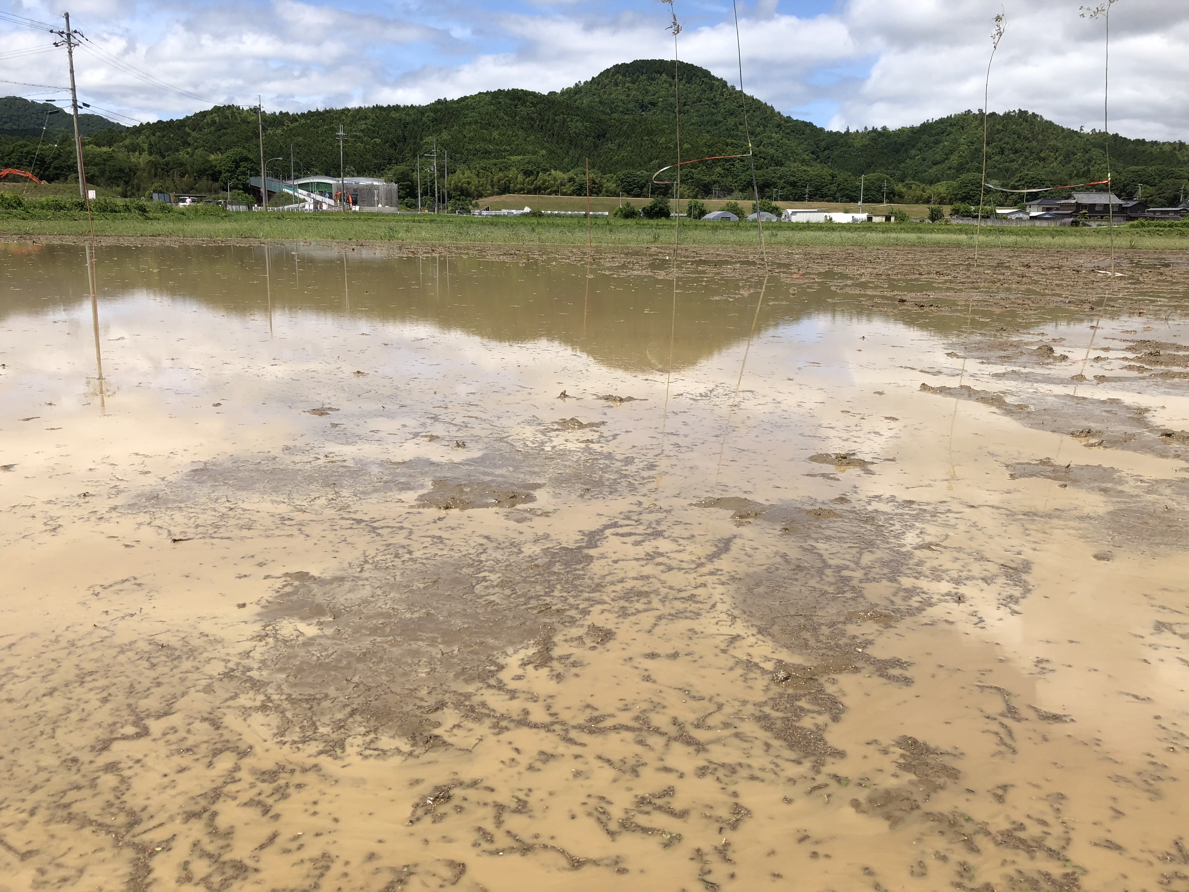 「泥んこは笑顔を作る！」　in 福知山たんぼラグビー