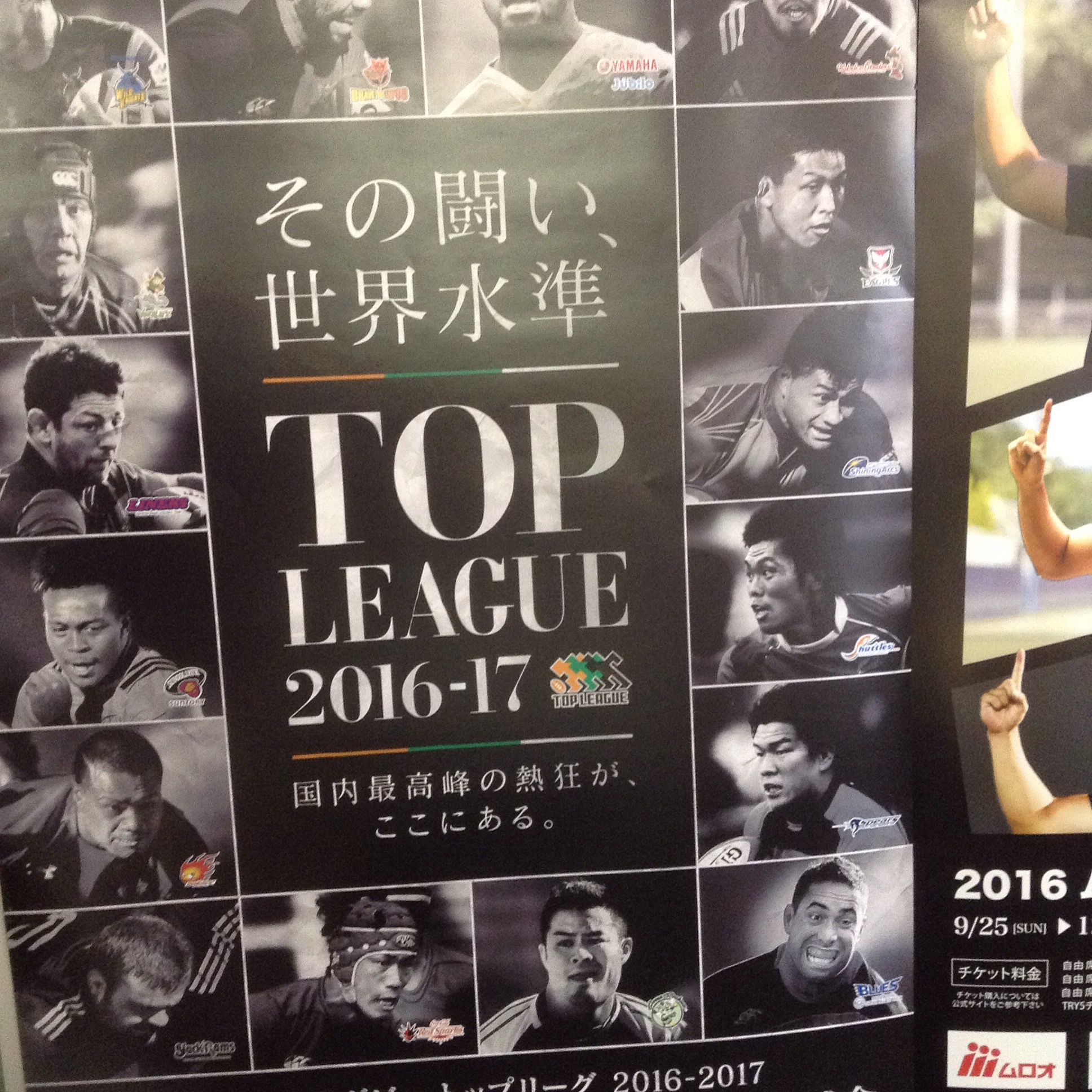 ラグビーポスター入荷です。