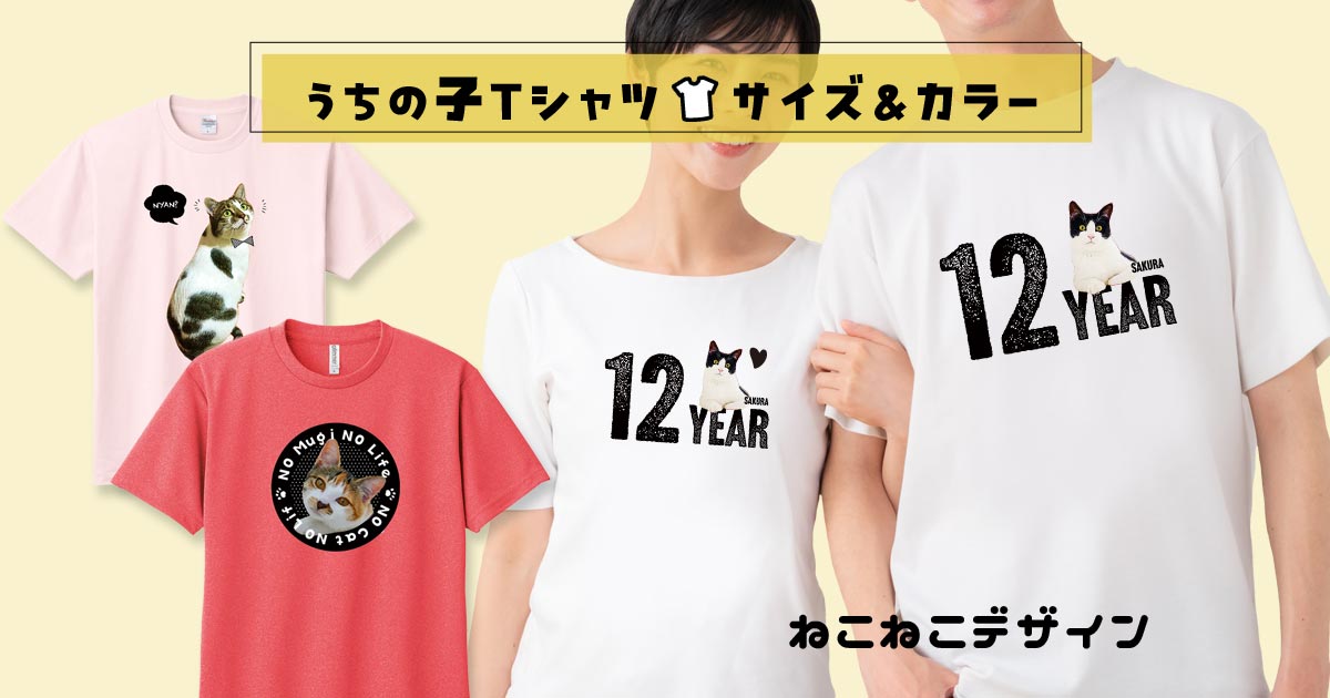 Tシャツの仕様(サイズ&カラー)
