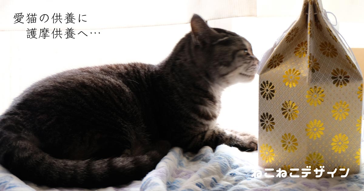 愛猫の供養に「護摩供養」に行って来た時のはなし。