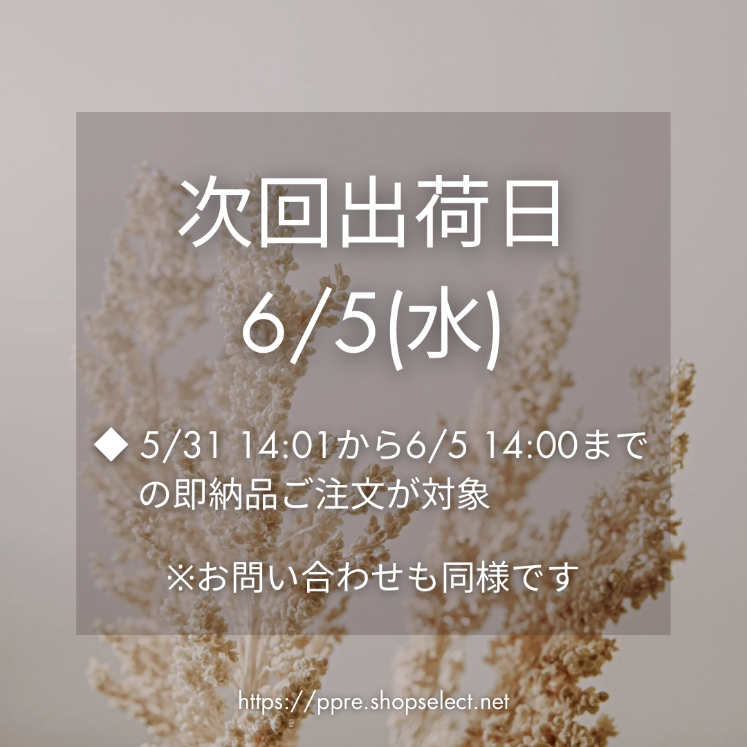 5/31(金)14:01〜のご注文は【6/5(水)出荷】