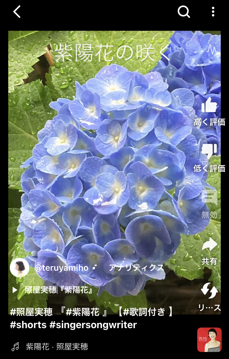 紫陽花の写真で作った『紫陽花』Youtubeショート公開しました✨