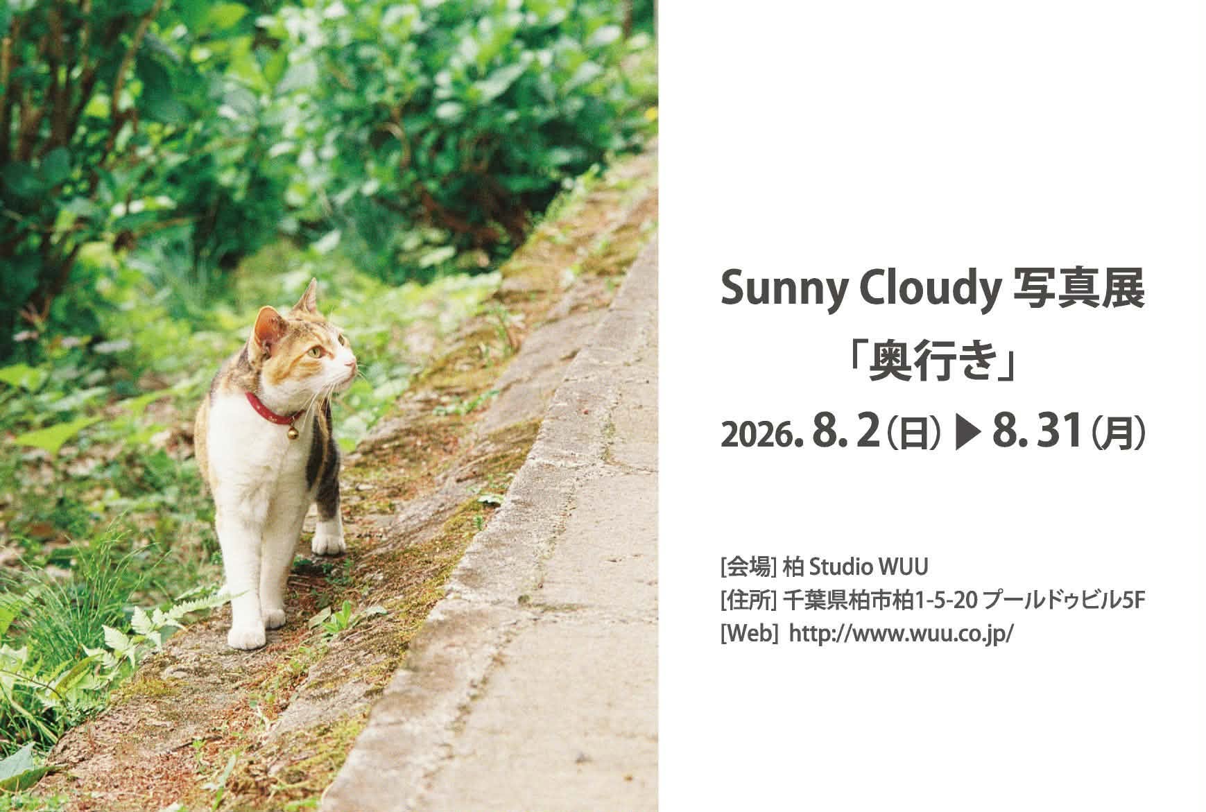 8/2(日)写真展コラボライブ&写真展のDM✨
