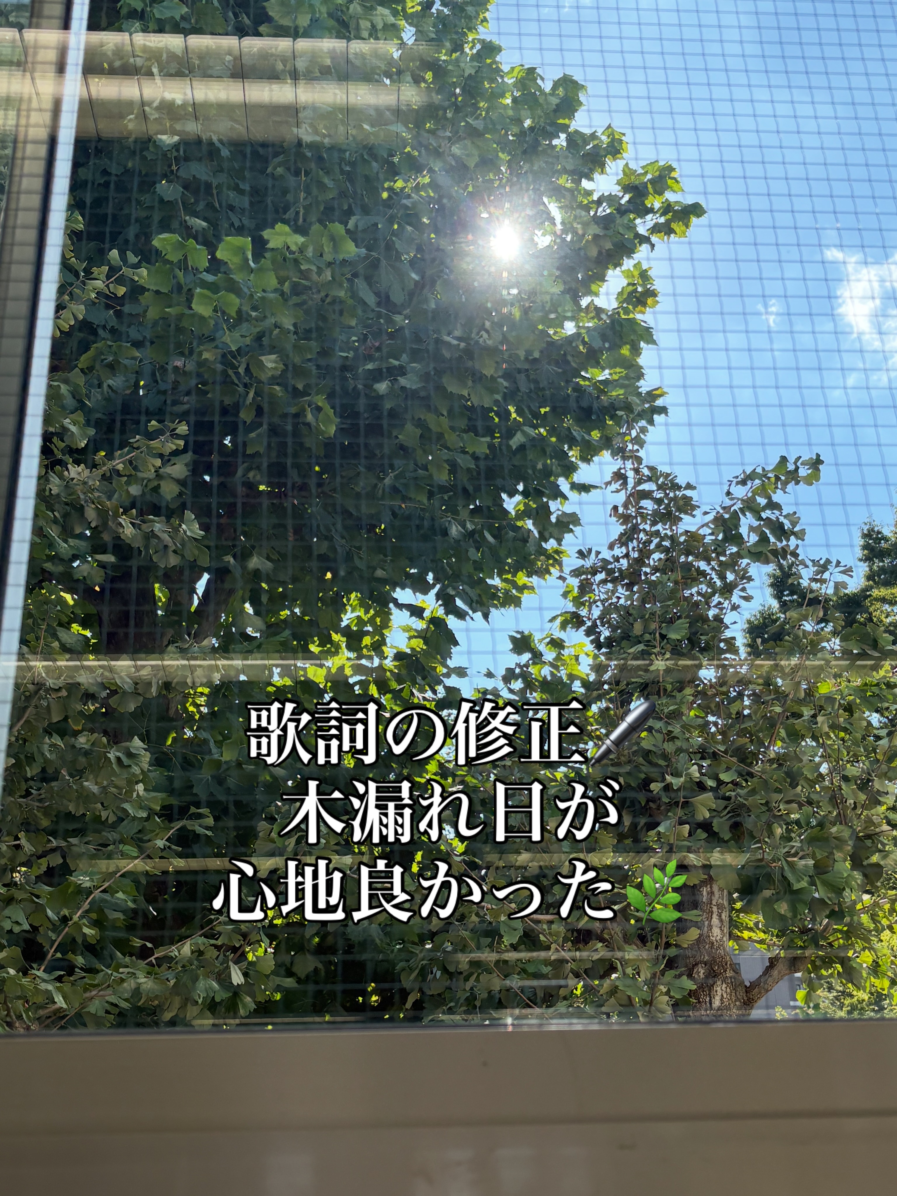 歌詞の修正🖊木漏れ日が心地よい日でした🍃