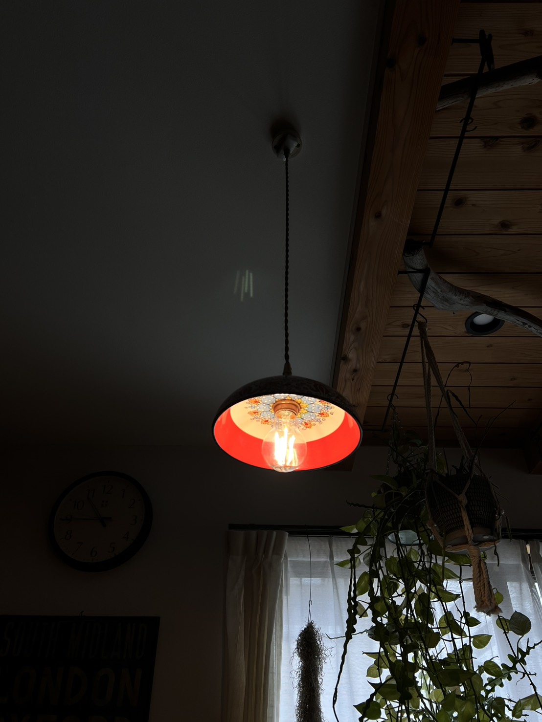 アルボレ・ビータが照らす「帰る場所」 強烈な赤と花色が紡ぐ、わが家のあたたかい物語