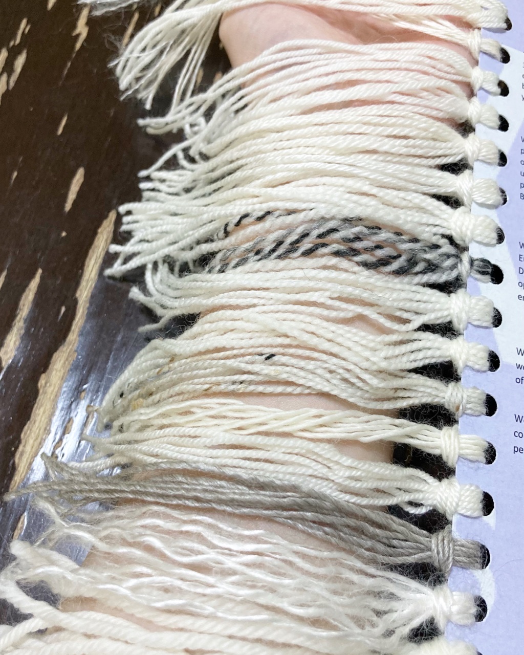 モチモチ、カサカサ、フワフワ、チクチク