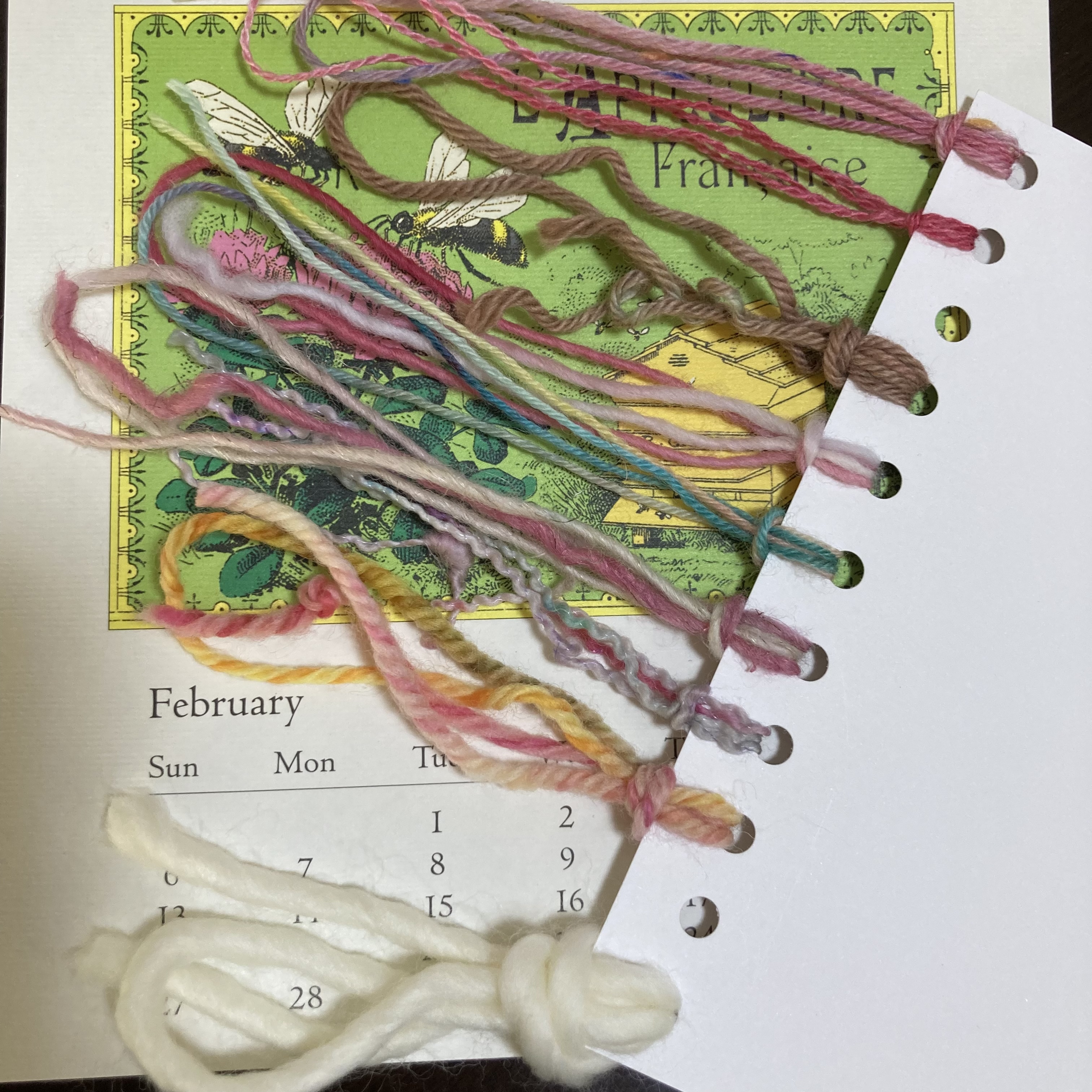 続、モチモチ、カサカサ、フワフワ、チクチク