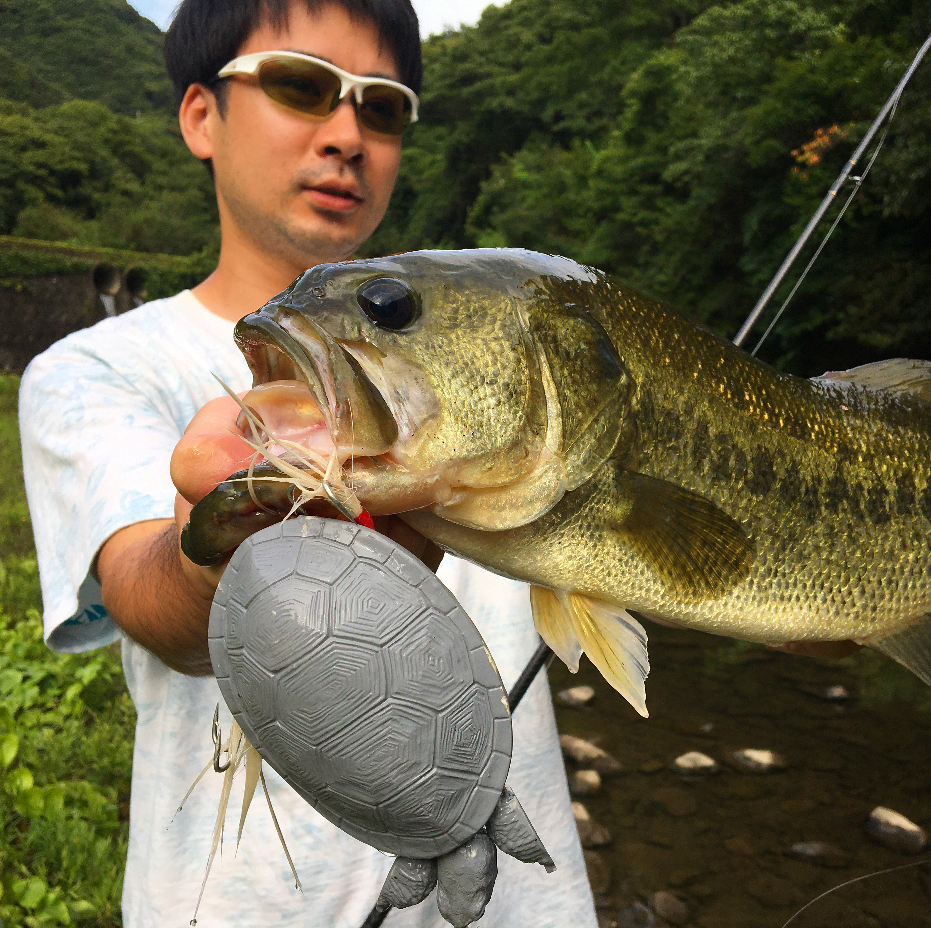 カメキング釣果