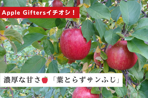 濃厚な甘さ🍎 あなたは知ってる？「葉とらずサンふじ」
