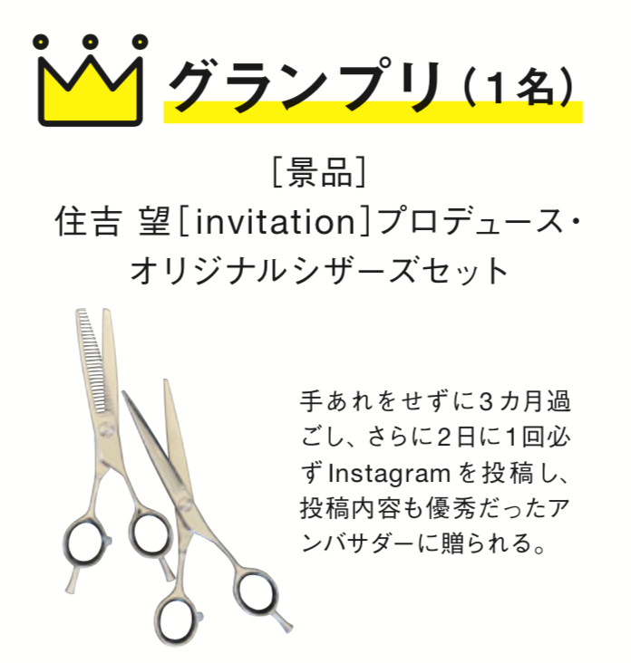 アンバサダーの審査基準&副賞の内容