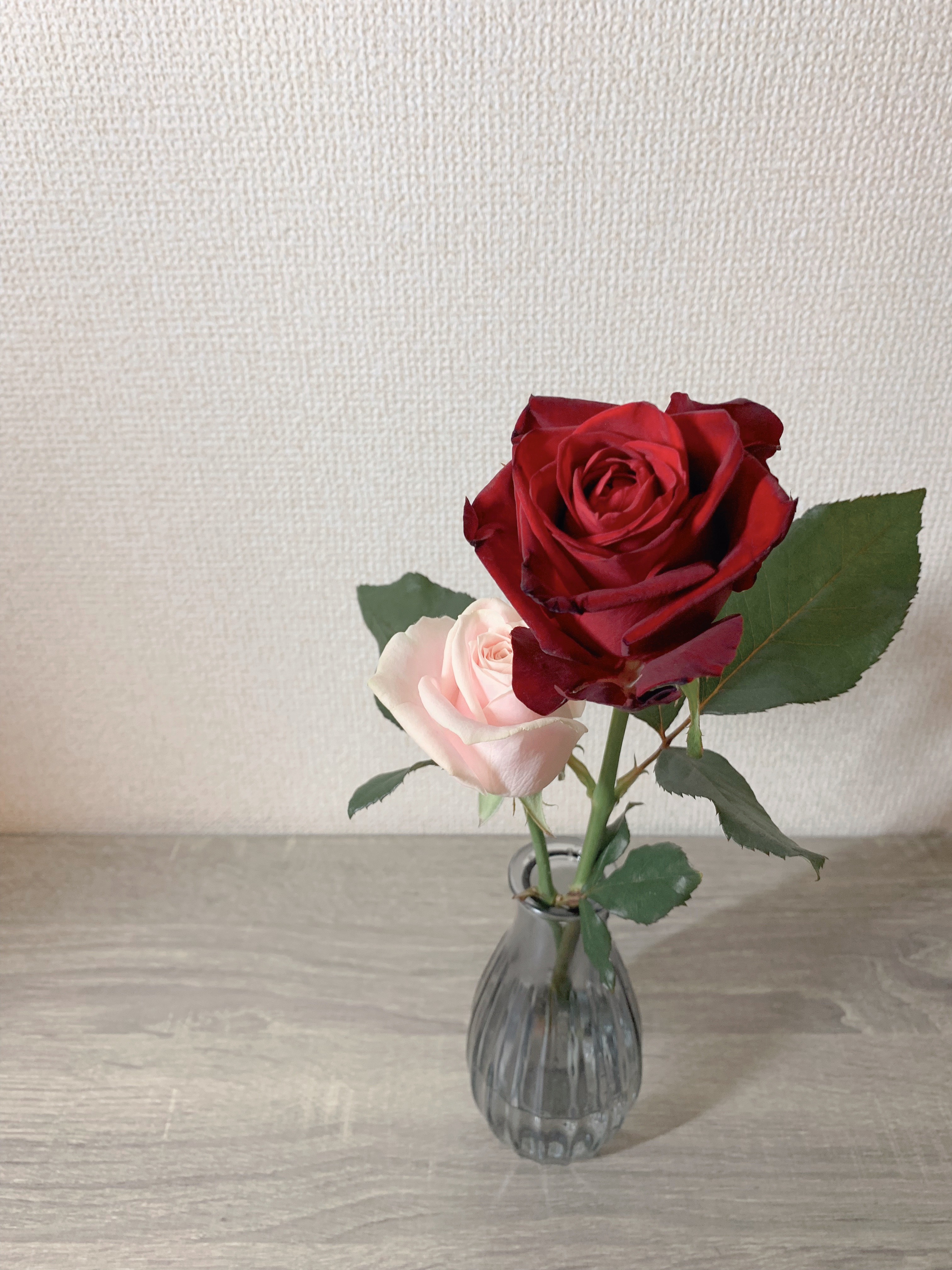 初めまして、花富です＾＾