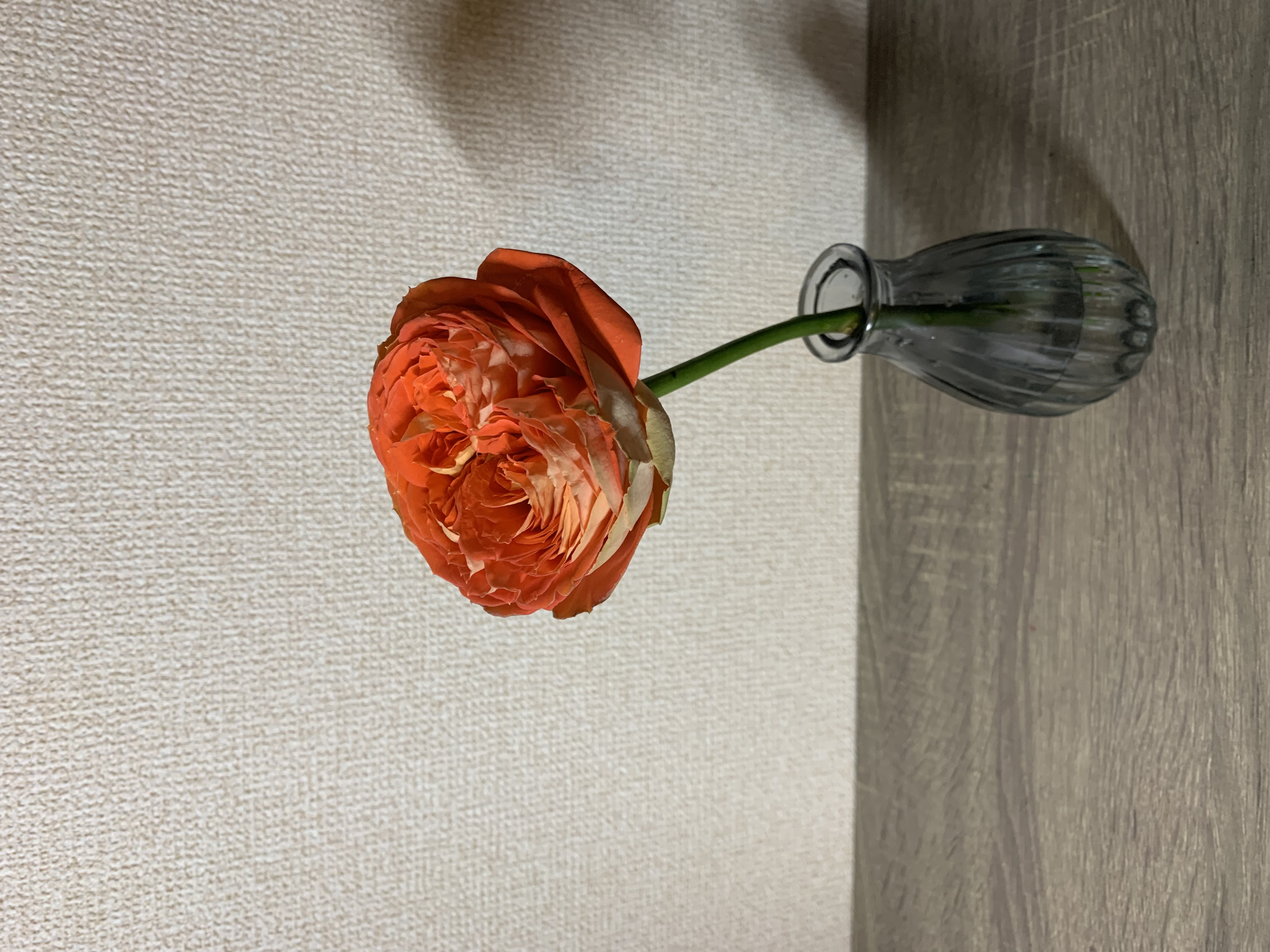 初お届けありがとうございました！