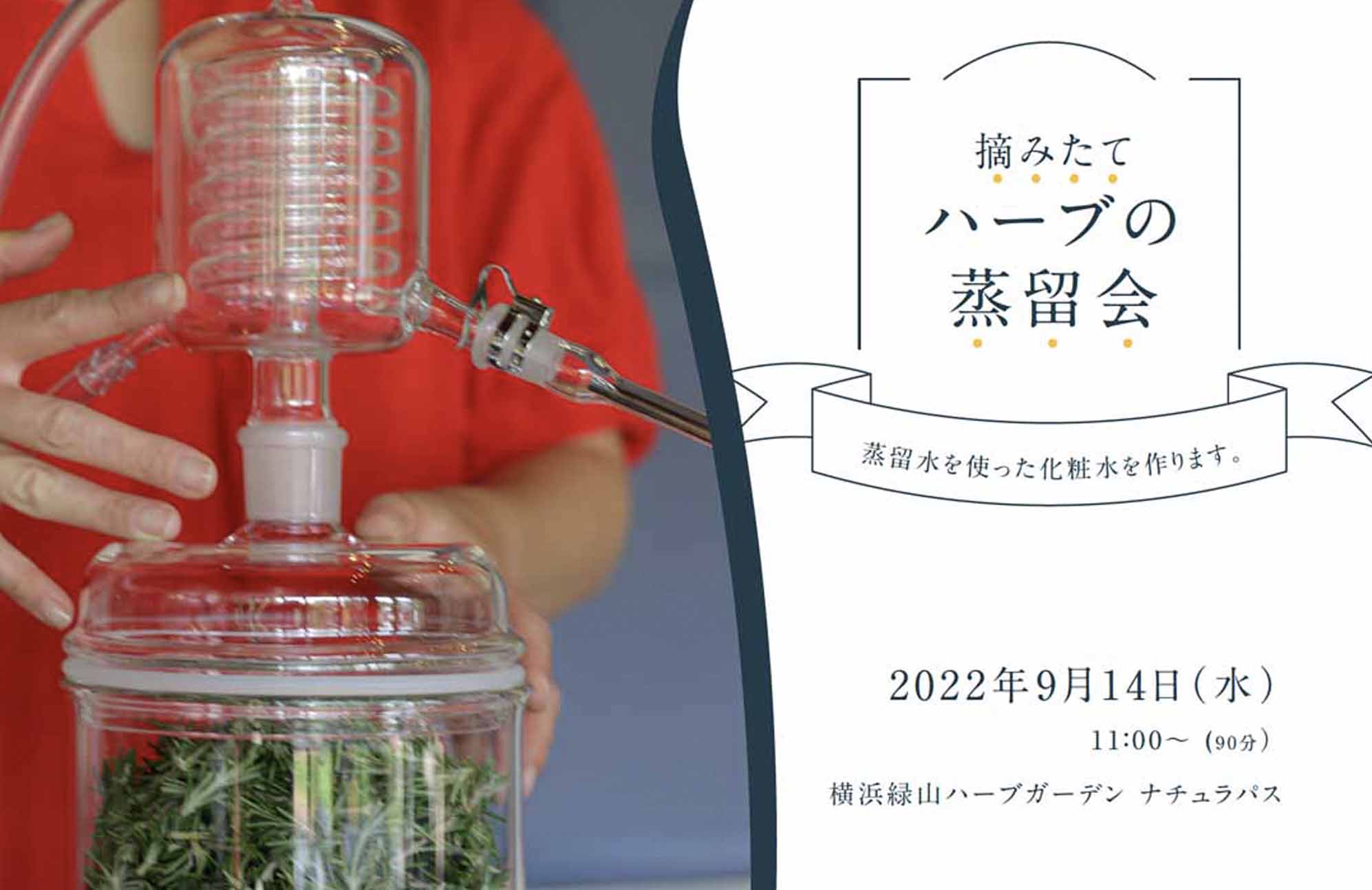 【蒸留会】9/14(水) 　摘みたてハーブの蒸留会