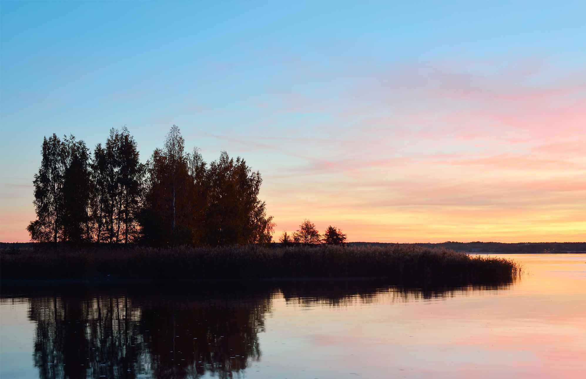 【アロマテラピー】春のなんとなく不調のセルフケア