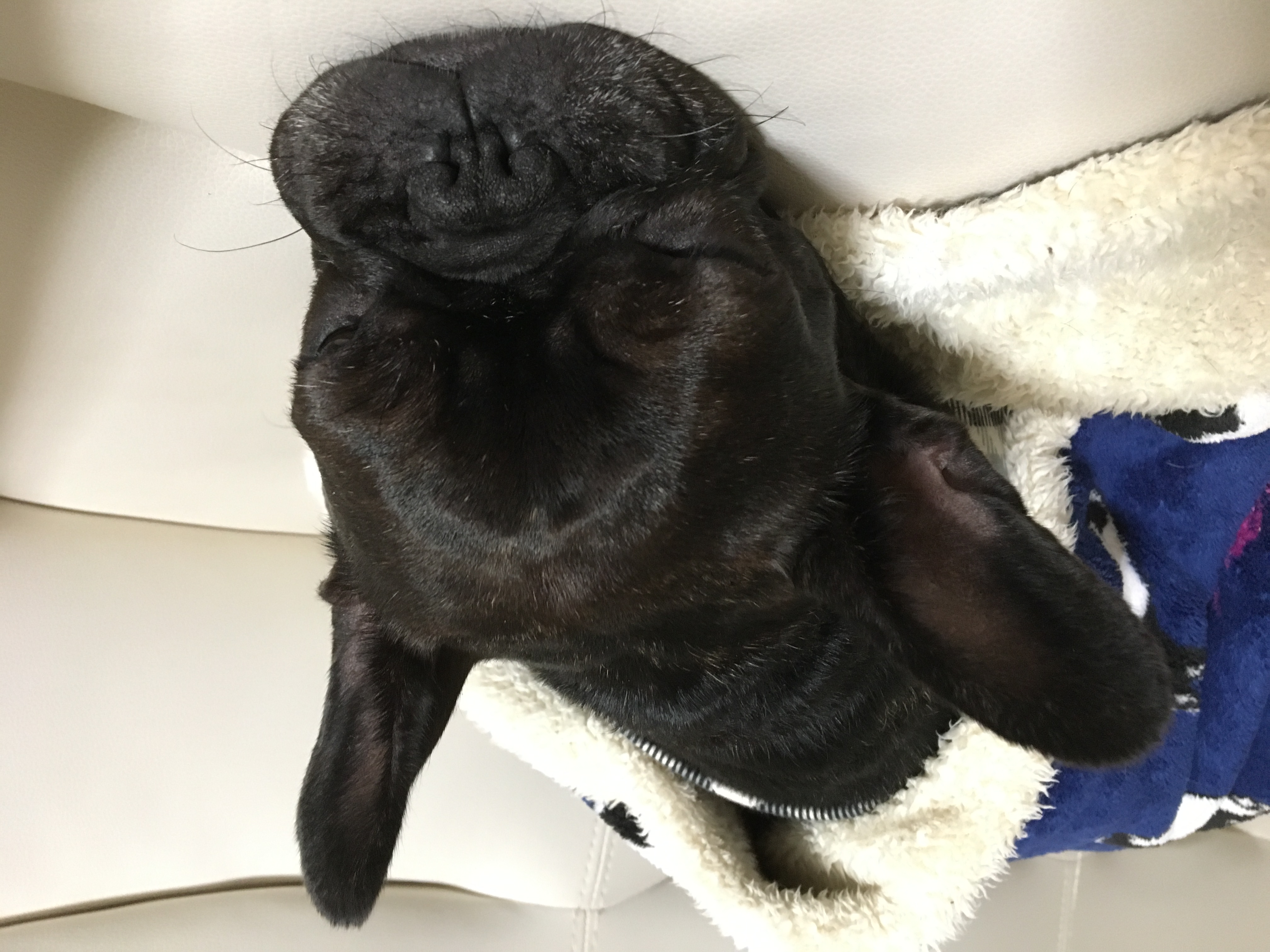 まだまだ寒い日が続きそうですね