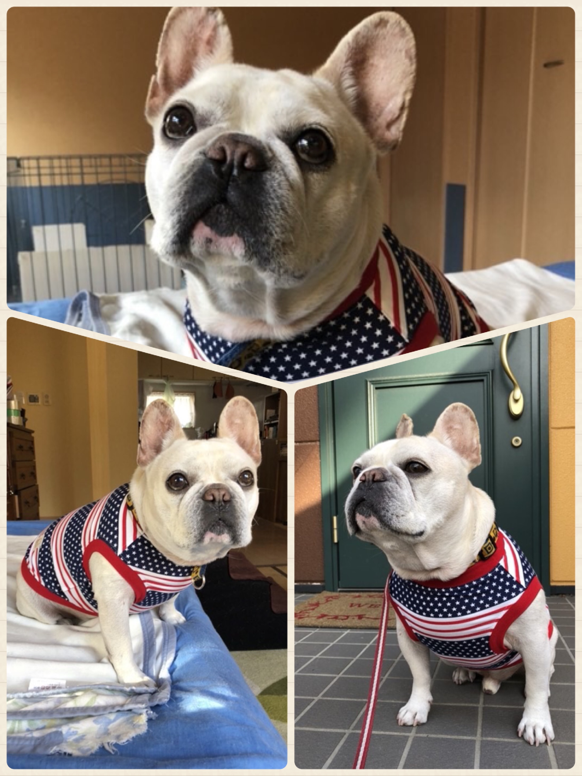 アメリカンボーダータンク