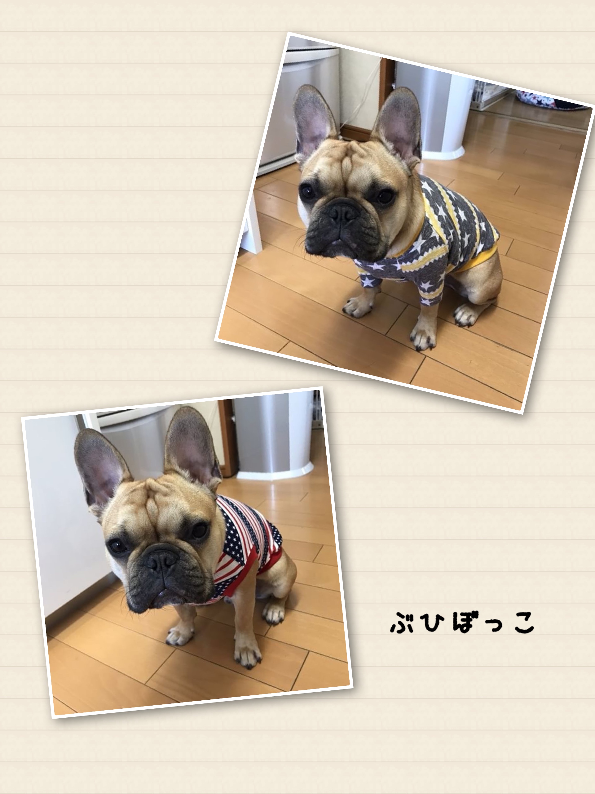 星ボーダーシャツとアメリカンボーダータンク