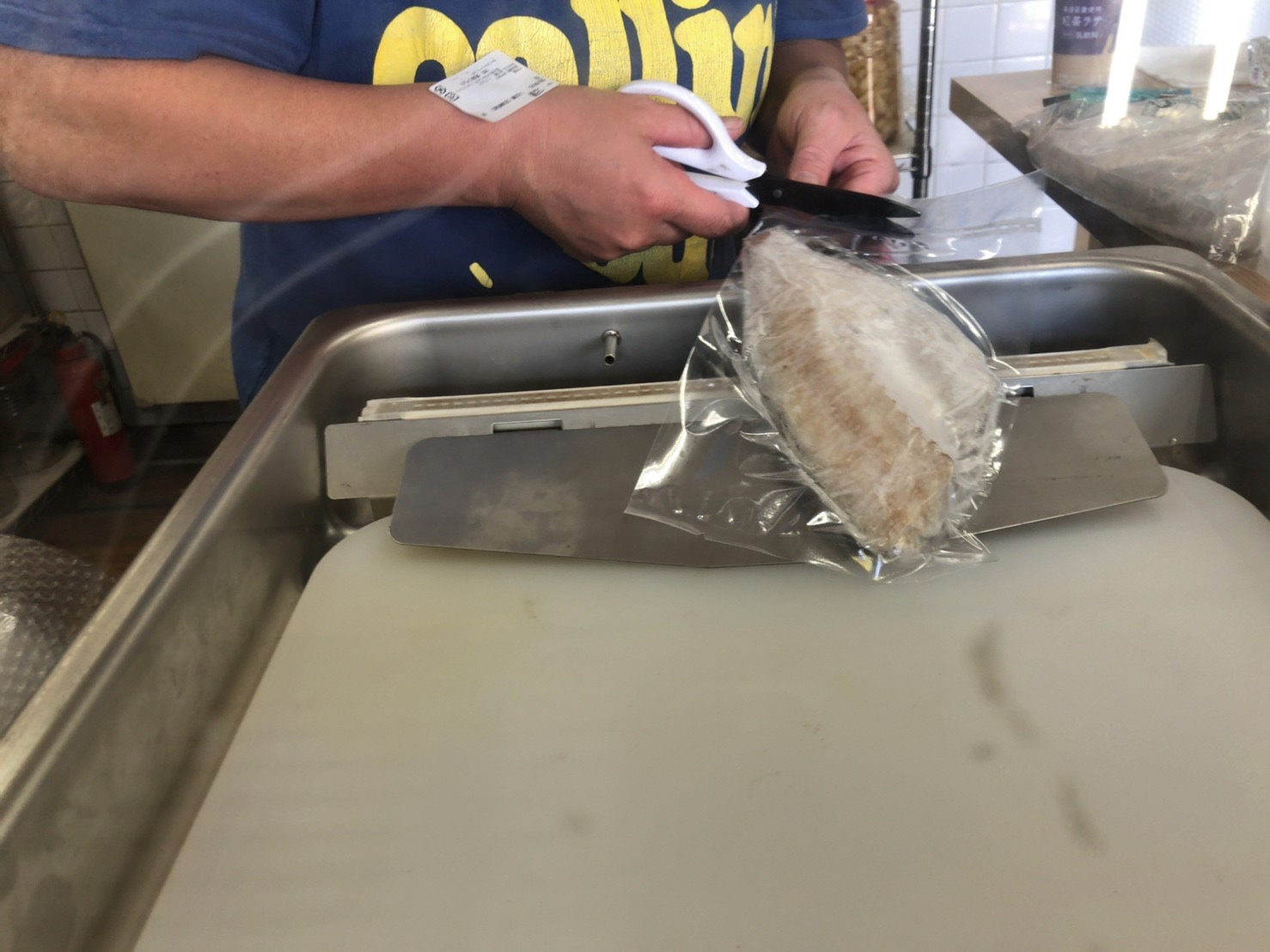 つぼ鯛情報