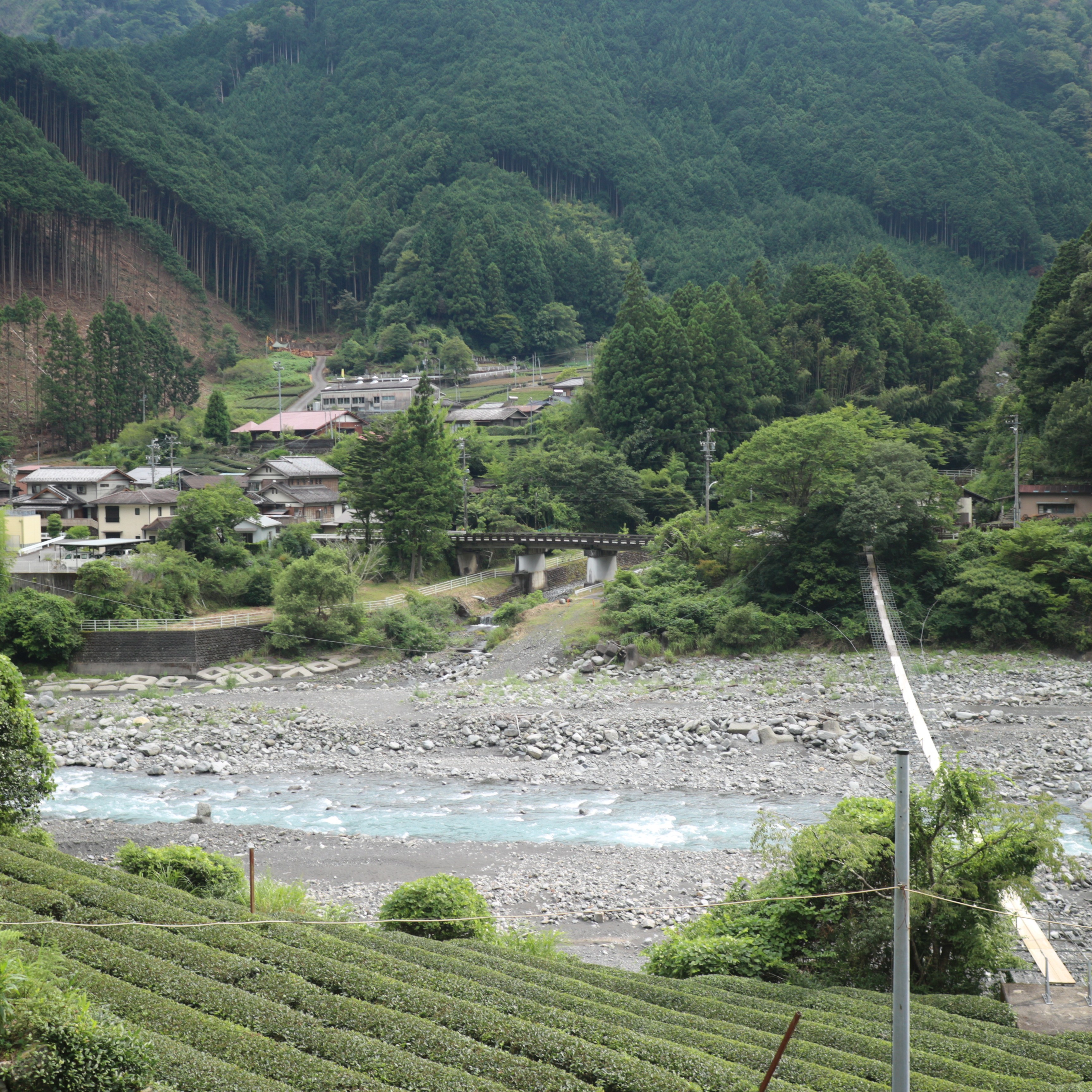 暑い日のお茶のたのしみ方～風で涼しもう～