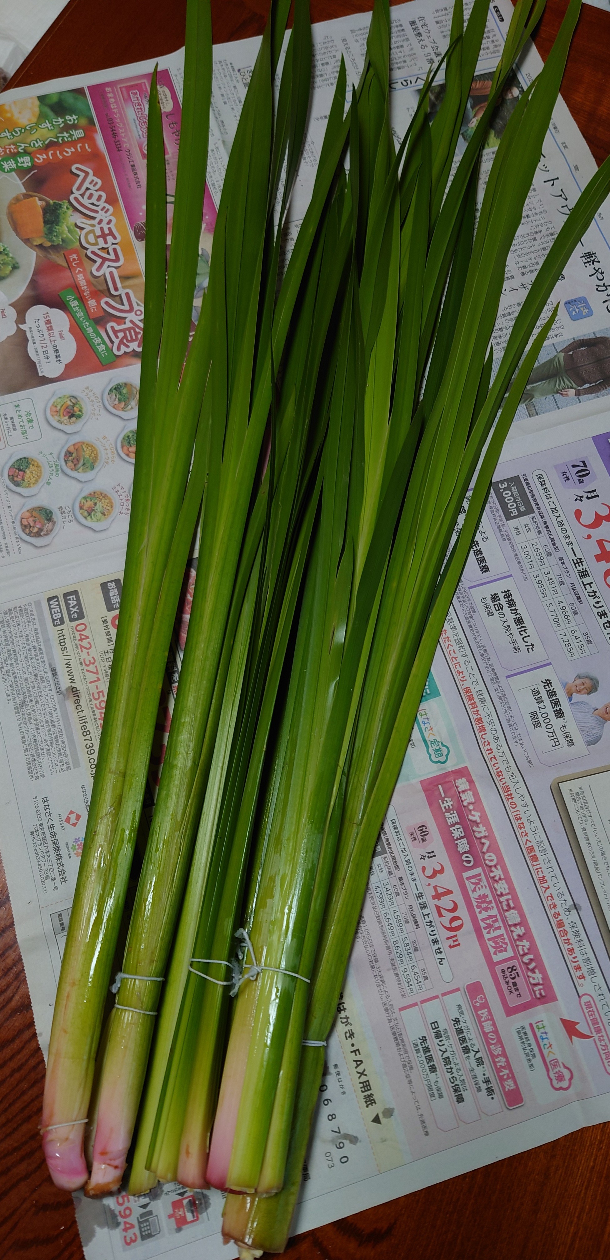 節句に向けて