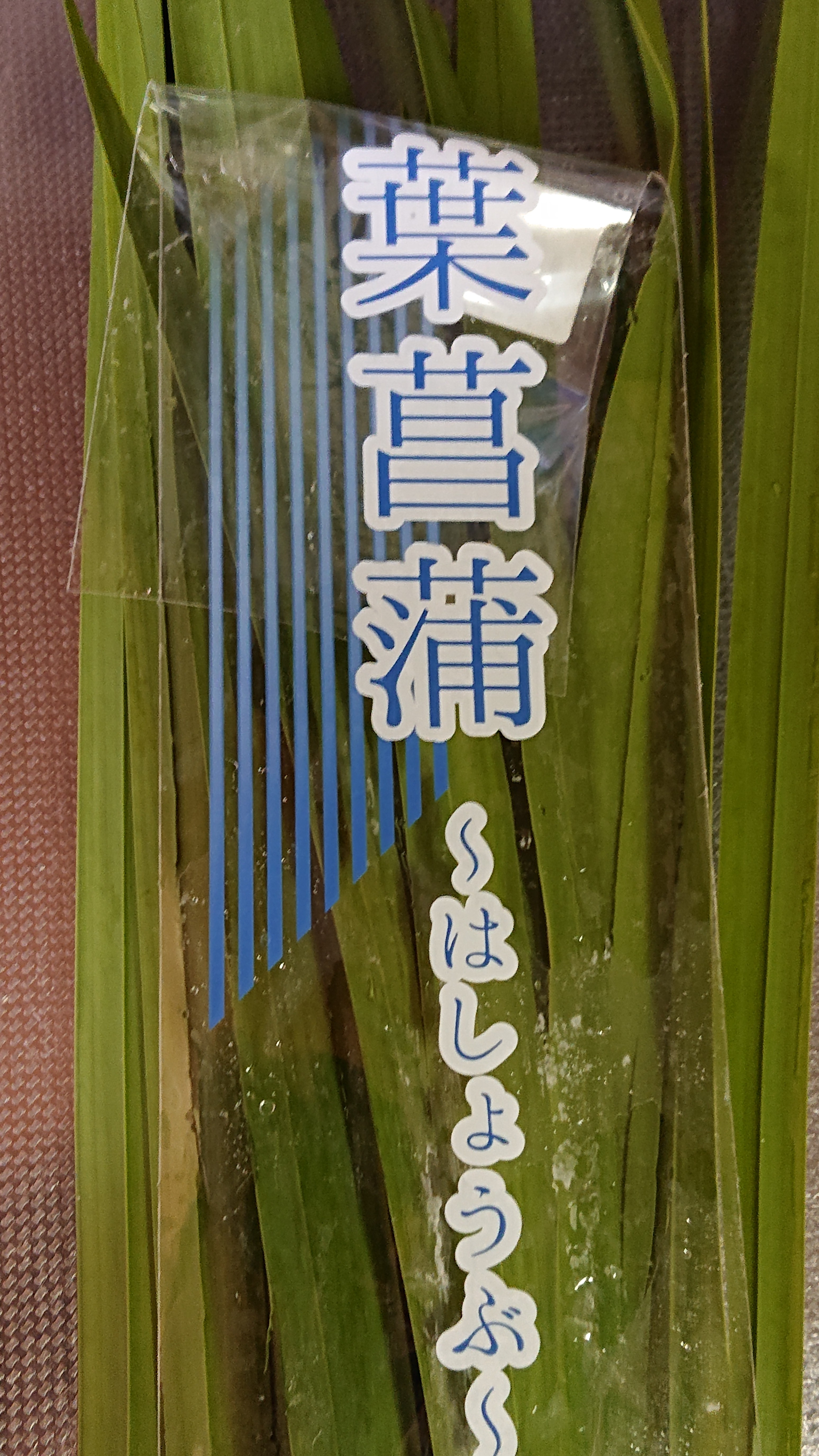 菖蒲