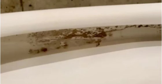 トイレのふち裏の汚れ、どうしてますか？