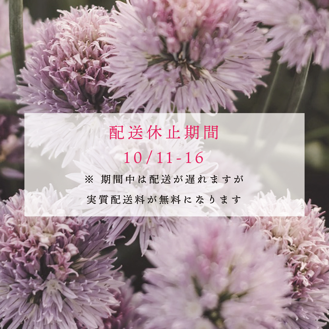 10/11（火）〜 16（日）この期間は発送を停止します