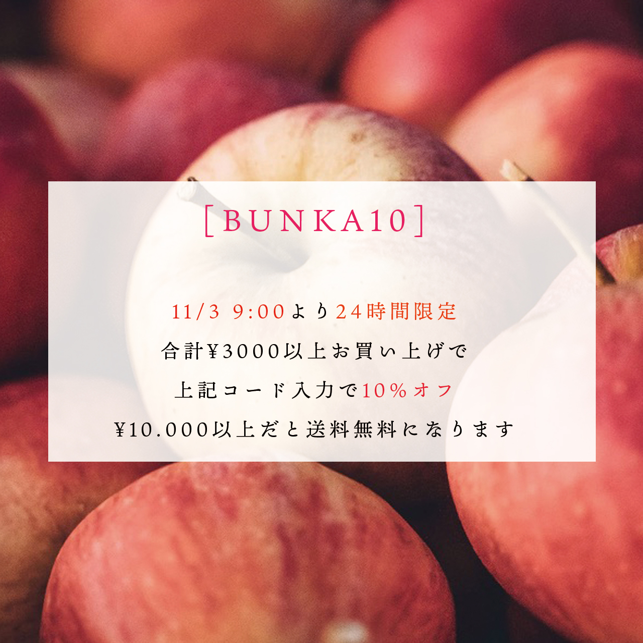 11/3　文化の日限定クーポン配布中