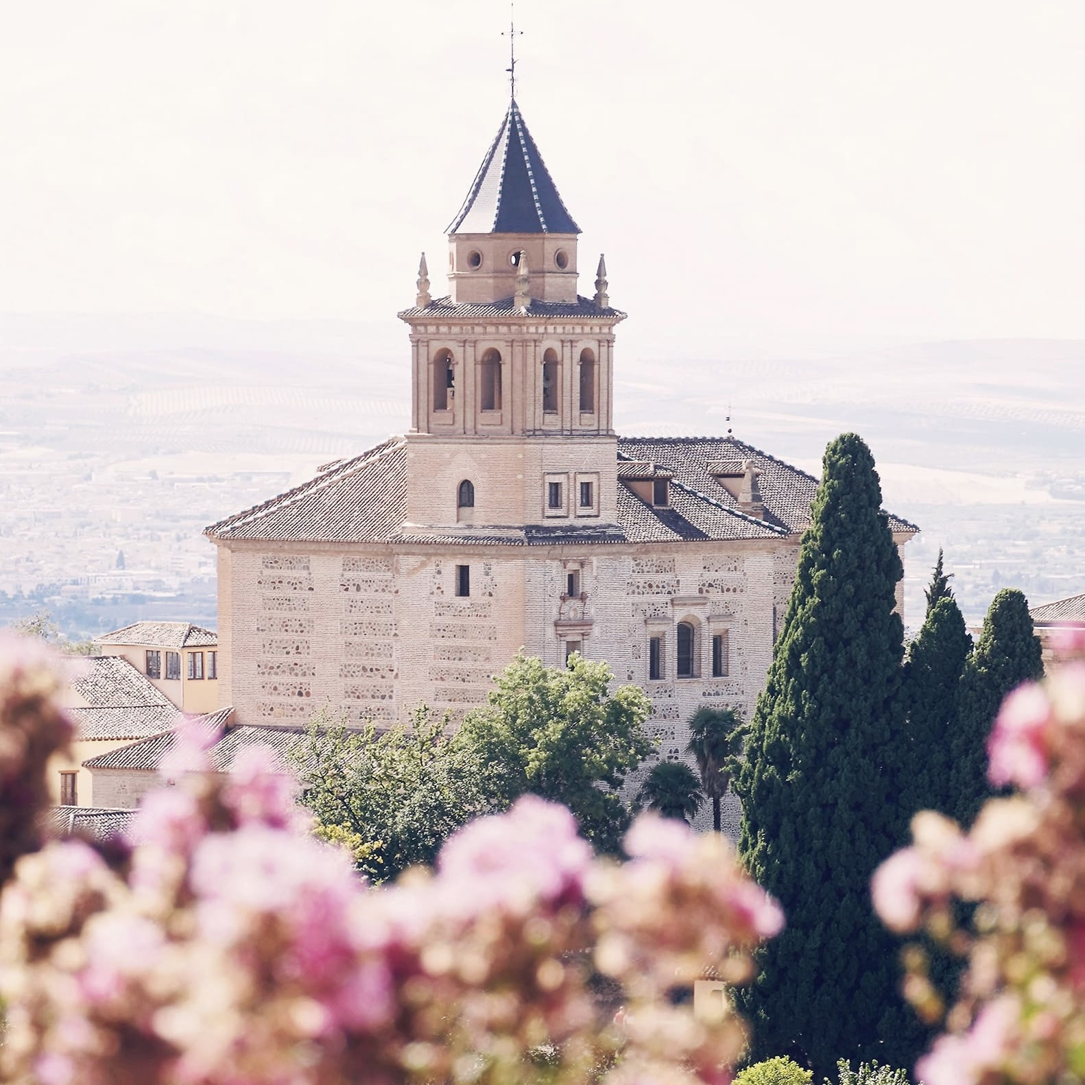 【終了】🎍NEW YEAR 🔶 ALL 50%OFF🎍