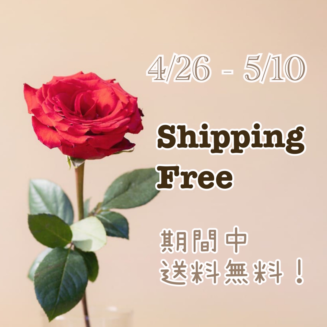 （終了）【4/26 ~ 5/10】送料無料キャンペーン実施中