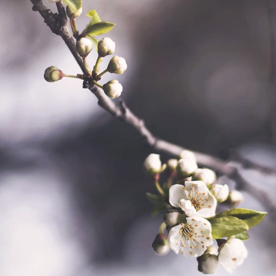 【終了】先着10枚🌟5000円以上購入で使える50%引きクーポン