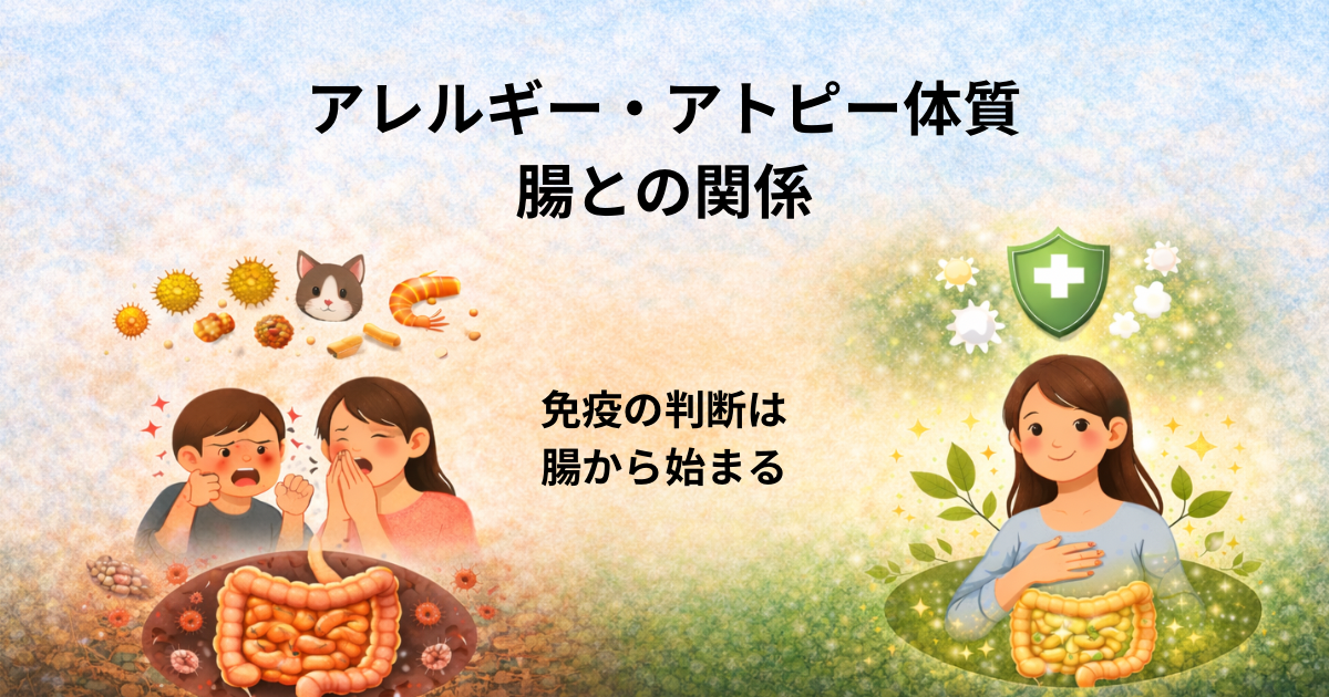 アレルギー・アトピー体質、腸との関係