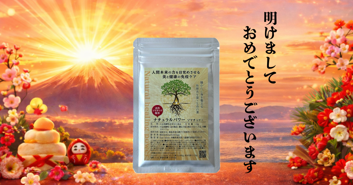 新しい一年、決めた方向へ向かうために✨