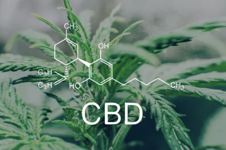 CBDとは