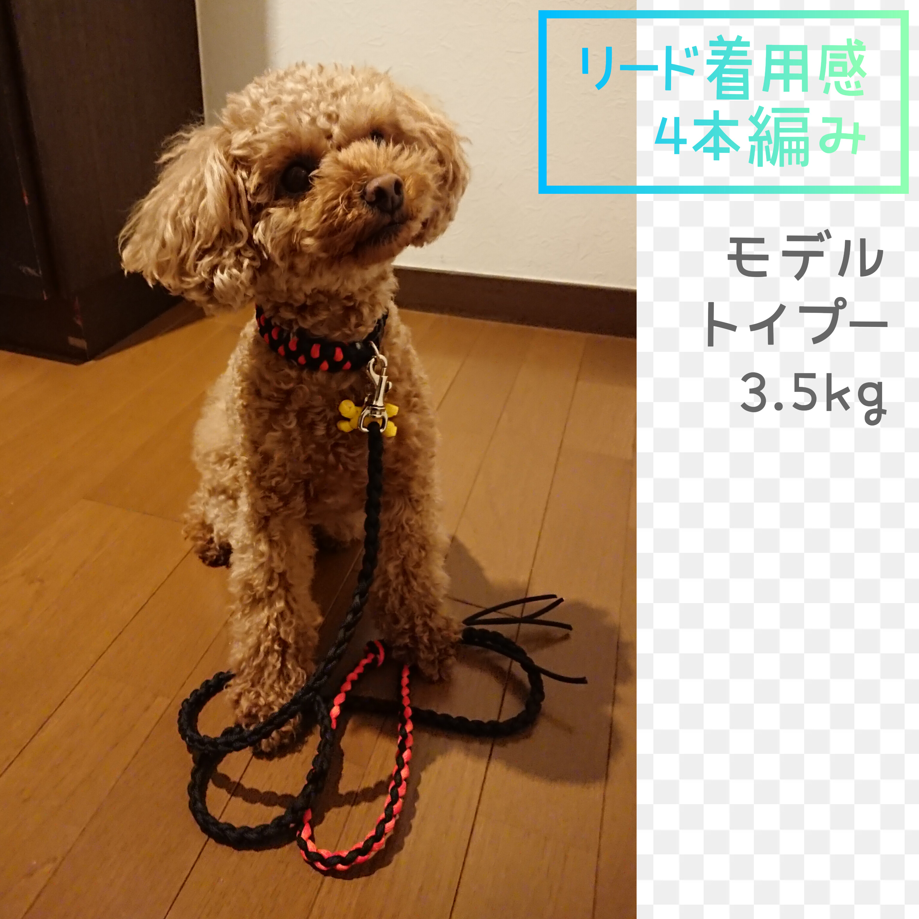ペット・リード、カフェリードの販売を始めました