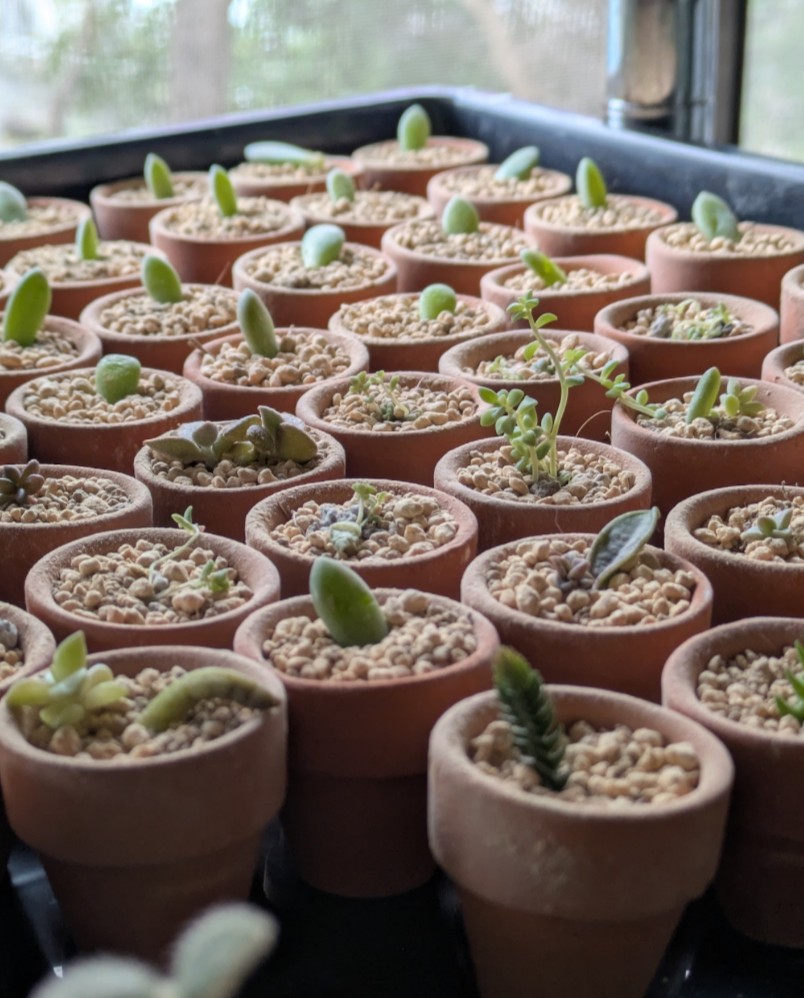 ハンドメイド雑貨をお届けしています💚