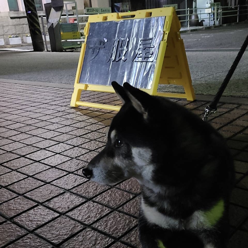 年末まで残り1週間宜しくです！！