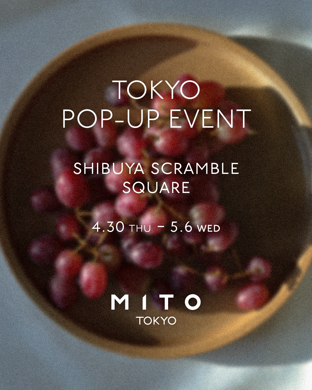 渋谷スクランブルスクエア POP-UP STOREのご案内