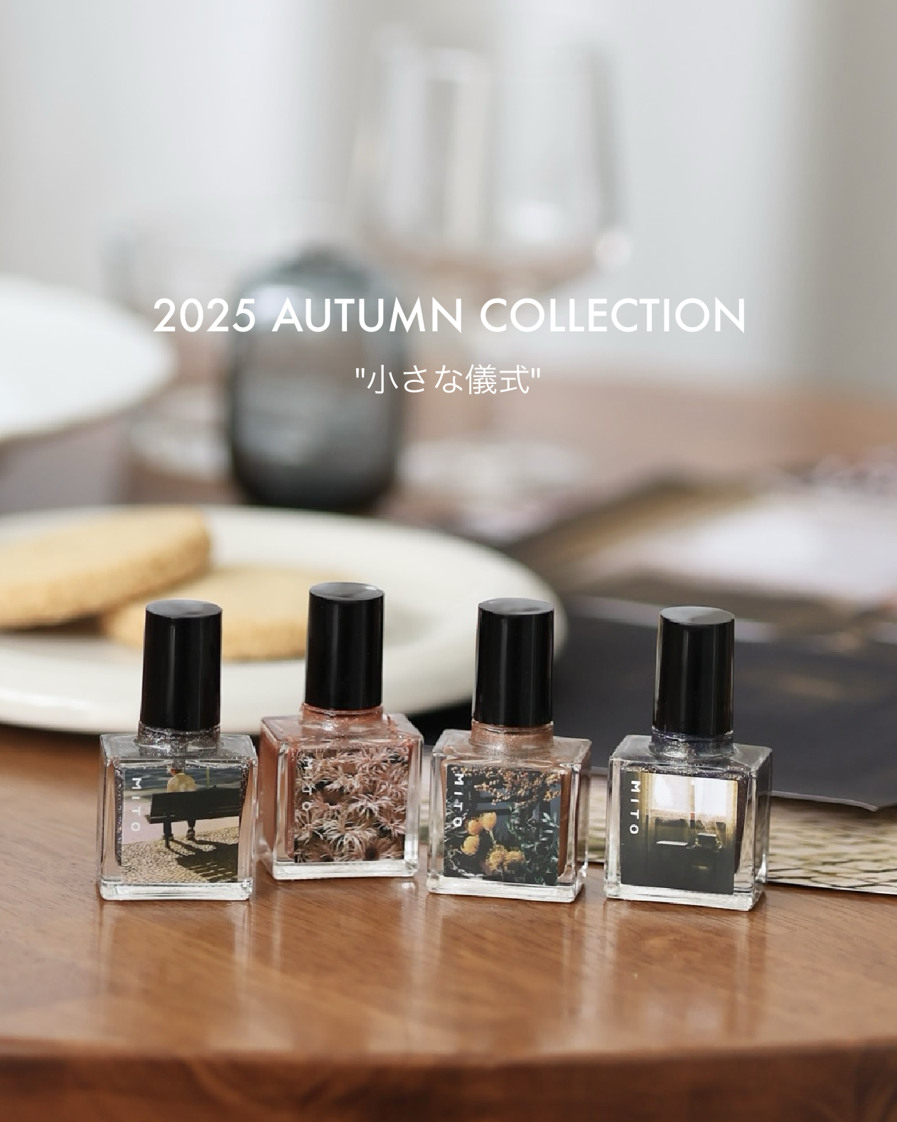 2025 AUTUMN COLLECTION