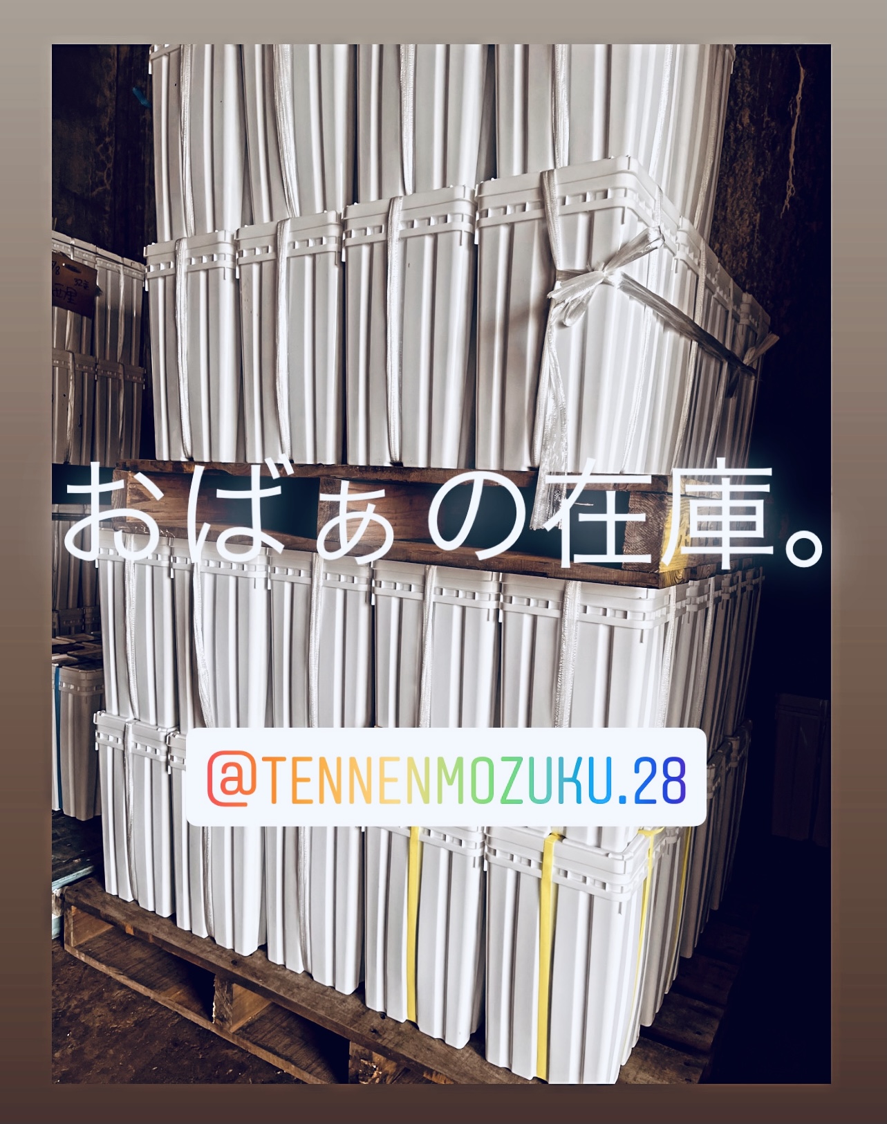 おばぁとミーティング。