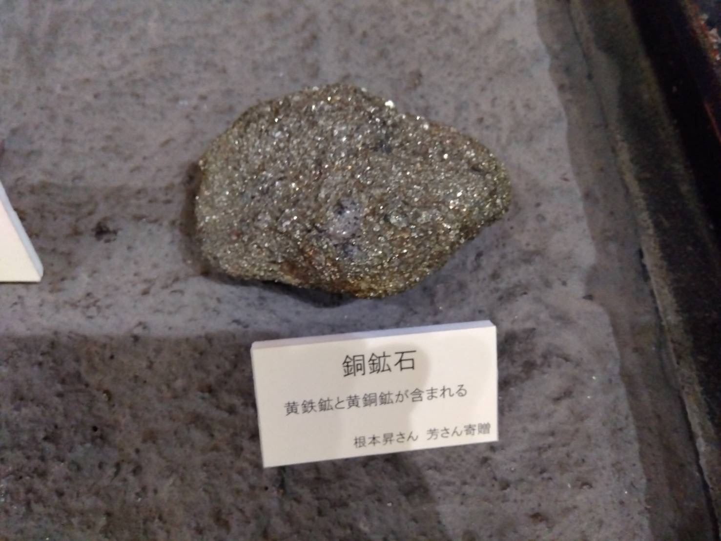 【日立郷土博物館で ズーハク展】 茨城県日立市の学ぶ、楽しむ、文化のひとつのご紹介です。