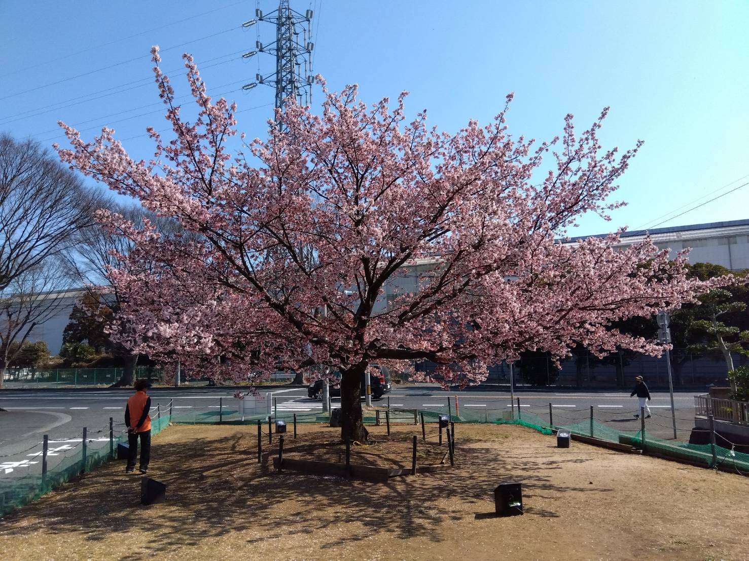 【桧沢緑地(ひさわりょくち)】編。茨城県日立市の公園のひとつです。
