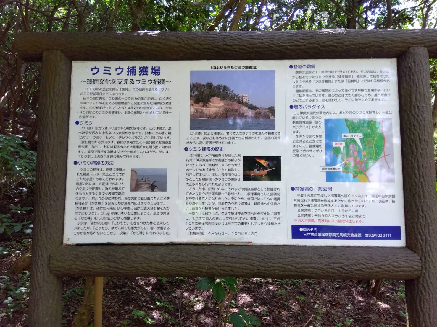 【ウミウの捕獲場】編。茨城県日立市の無形民俗文化財。日立市は全国で唯一のウミウの捕獲・供給地。