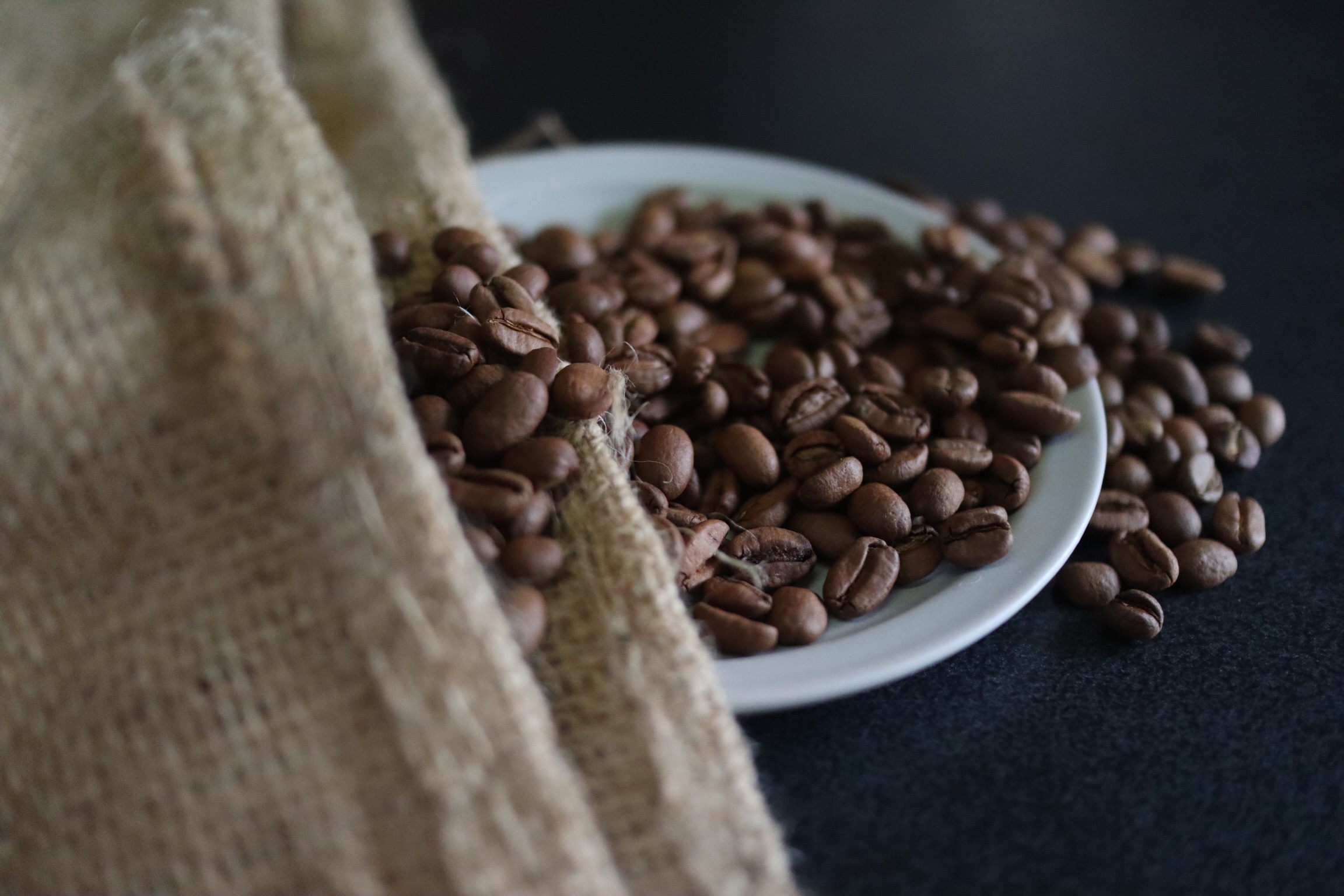 コーヒー豆は、日にちをおいた方が美味しい？