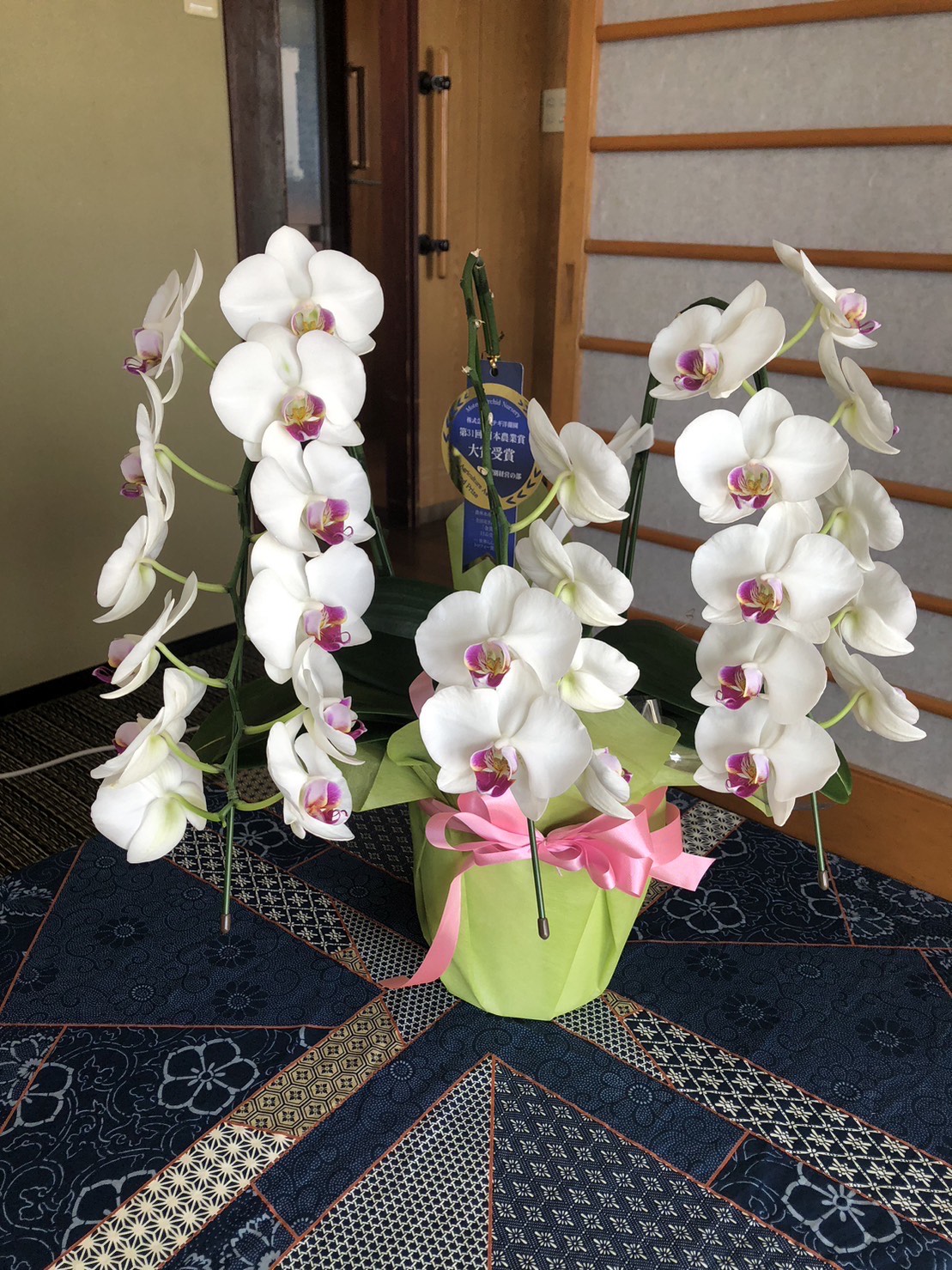 お花いただきました！！