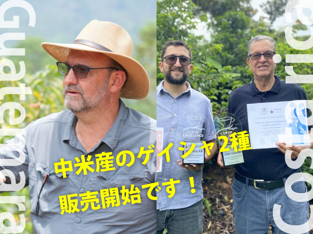 中米産のゲイシャ２種販売開始です！