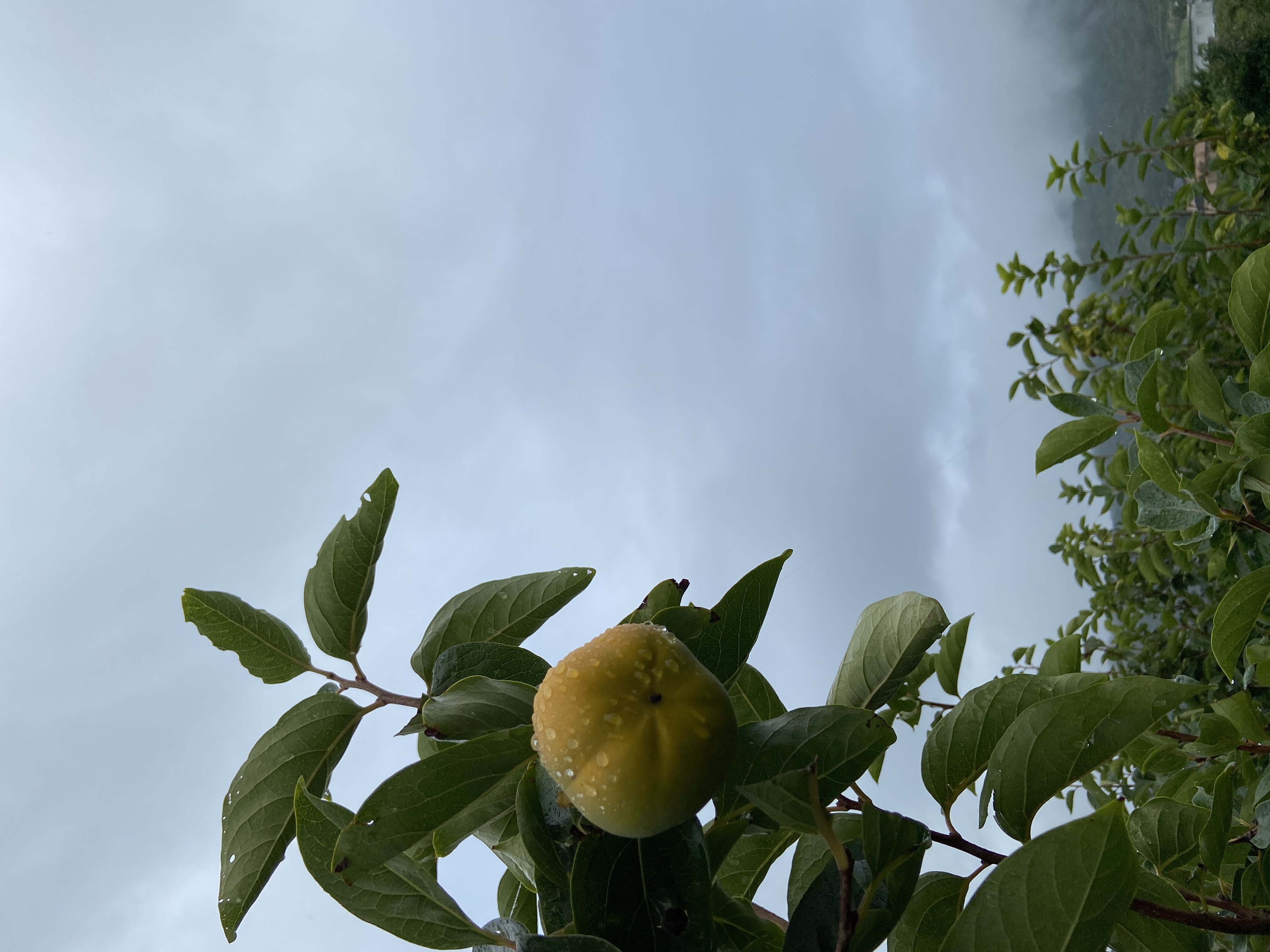 台風通過