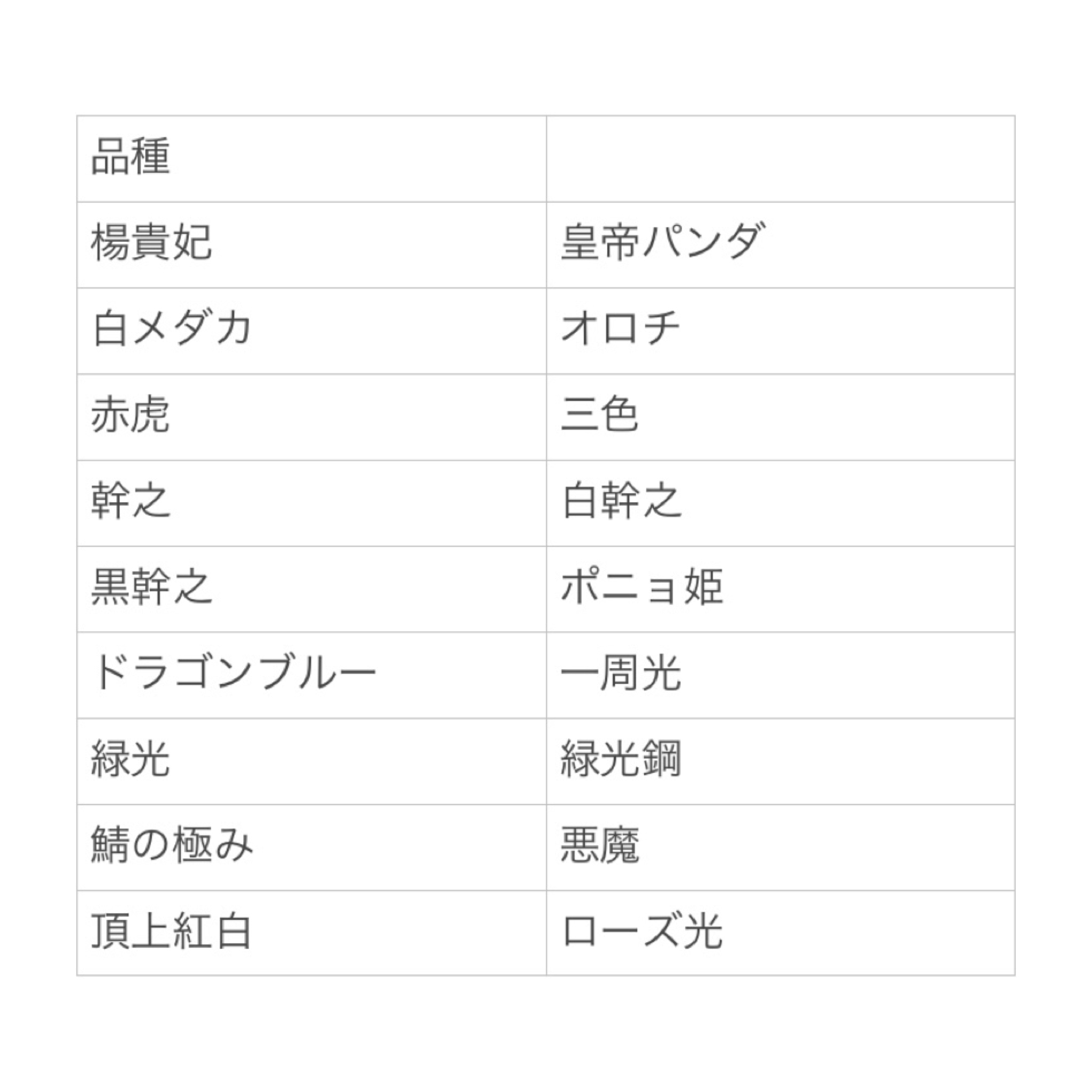 ラインナップ✨